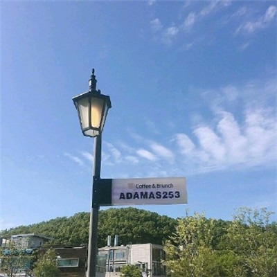 一缕阳光337海报