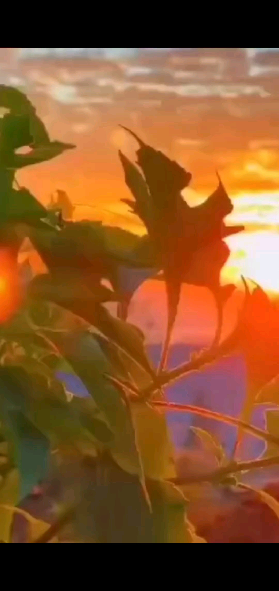 好想来一场说走就走旅