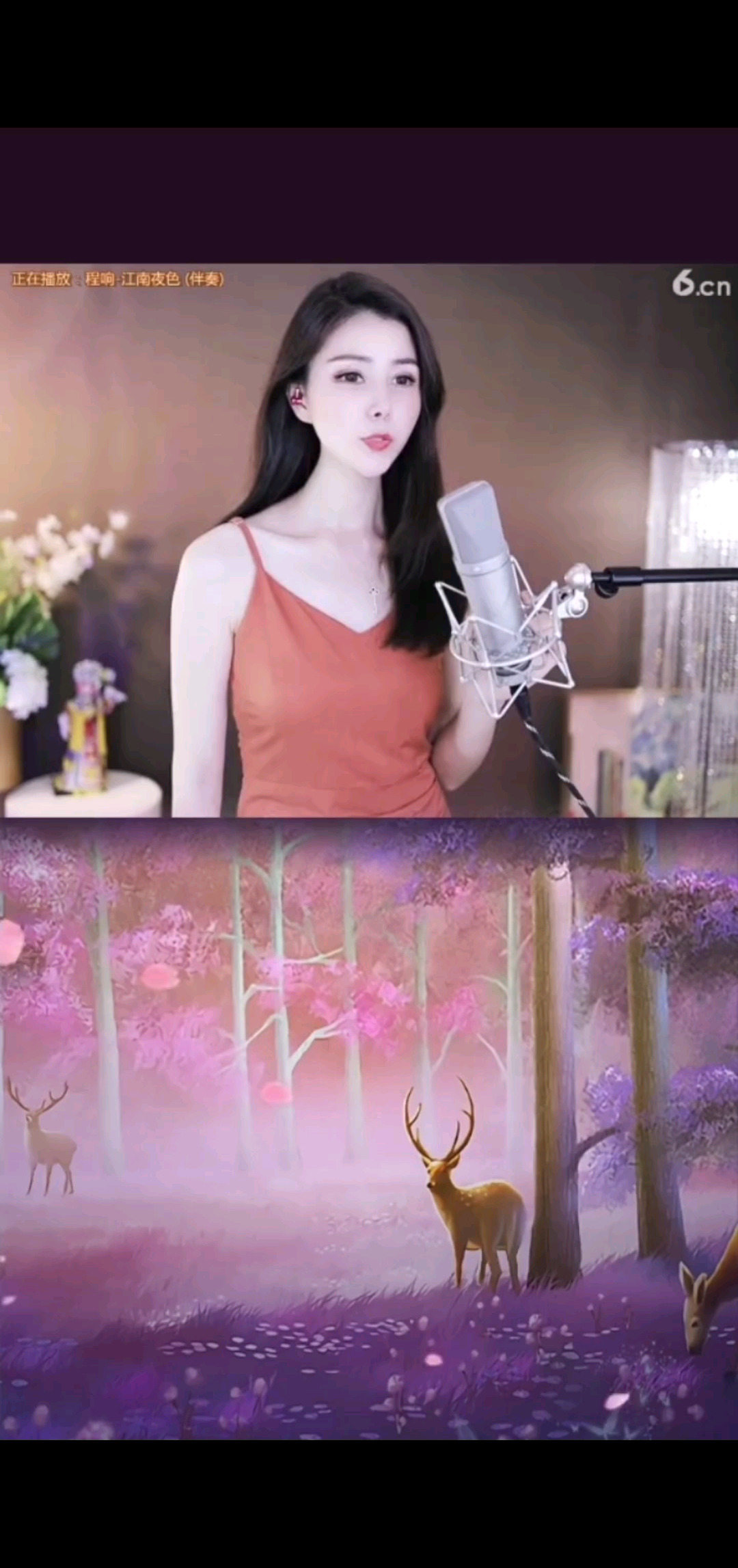 江南夜色影成双 220530