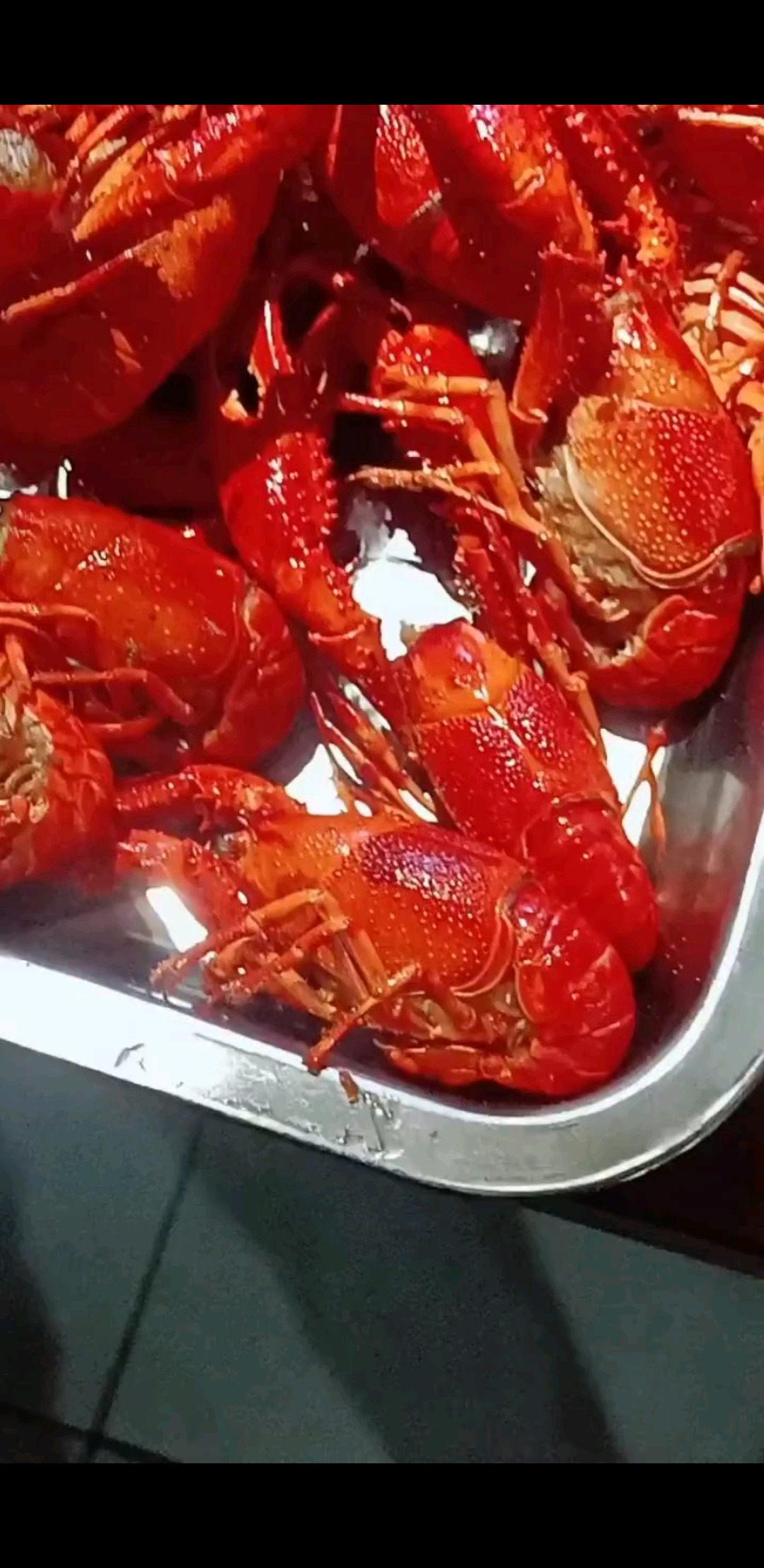 夏天就是这么美好