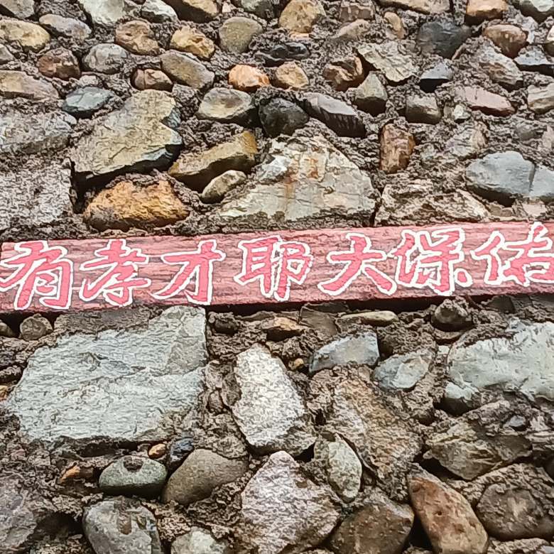 汤玉东aez海报