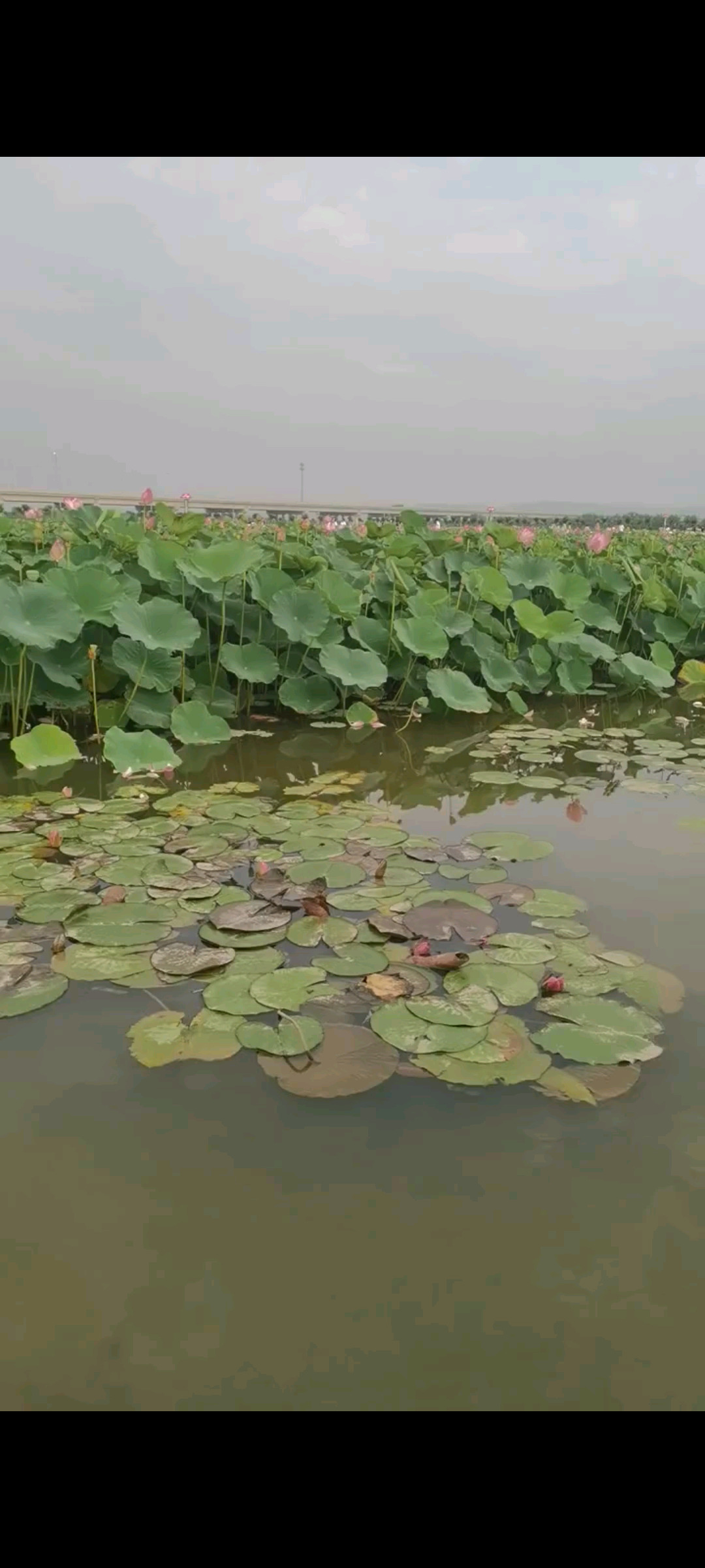 水路