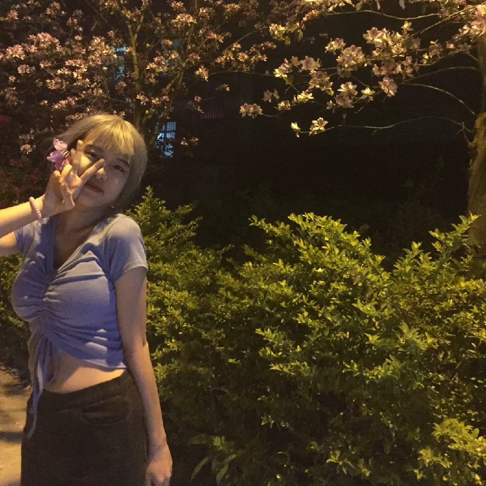 你的北北哦海报