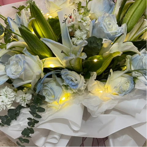 阳光与你💗海报