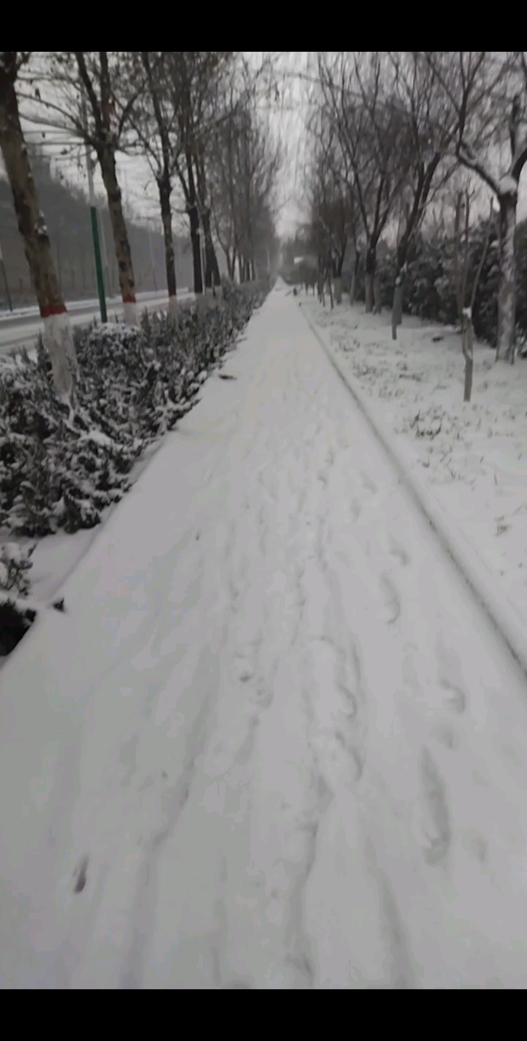 发个雪景，让老铁们凉