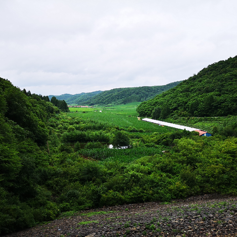 じ☆ve→尐凡哥☆海报