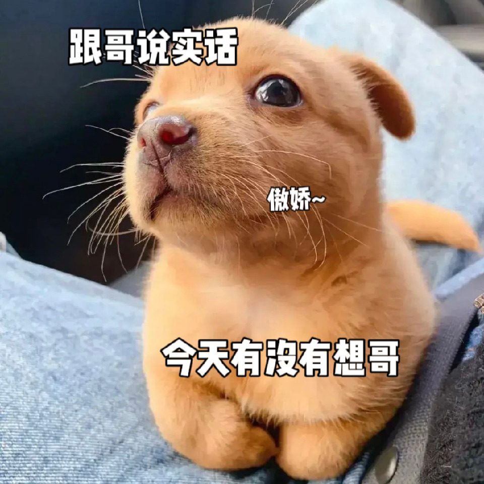 落秋为冬海报