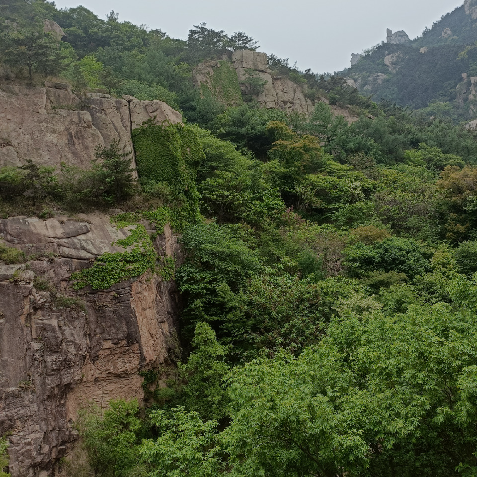 此账号已注销海报