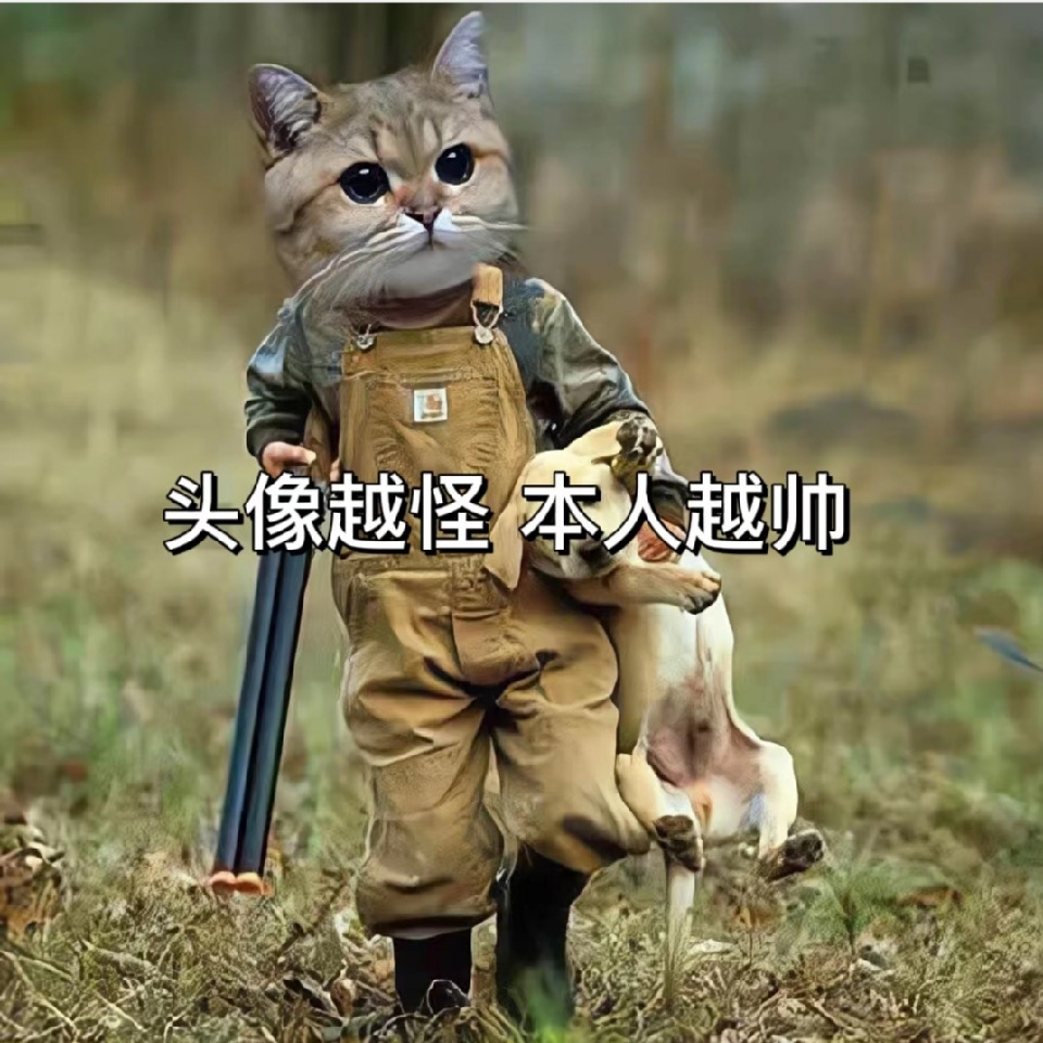 风尛尛海报