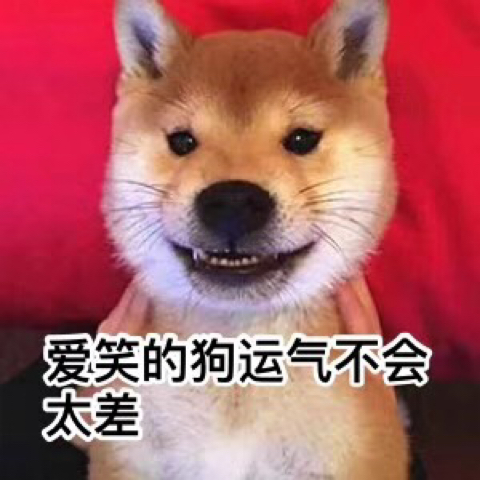 我在东南亚杀猪_海报