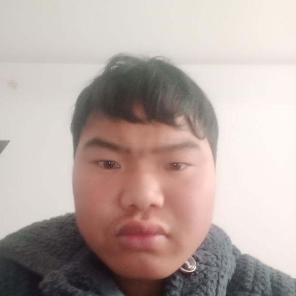 253698685海报