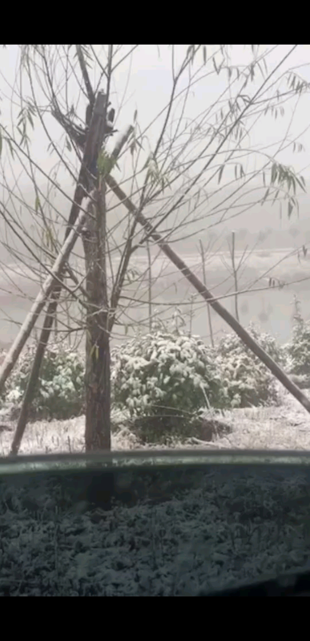 雪呦