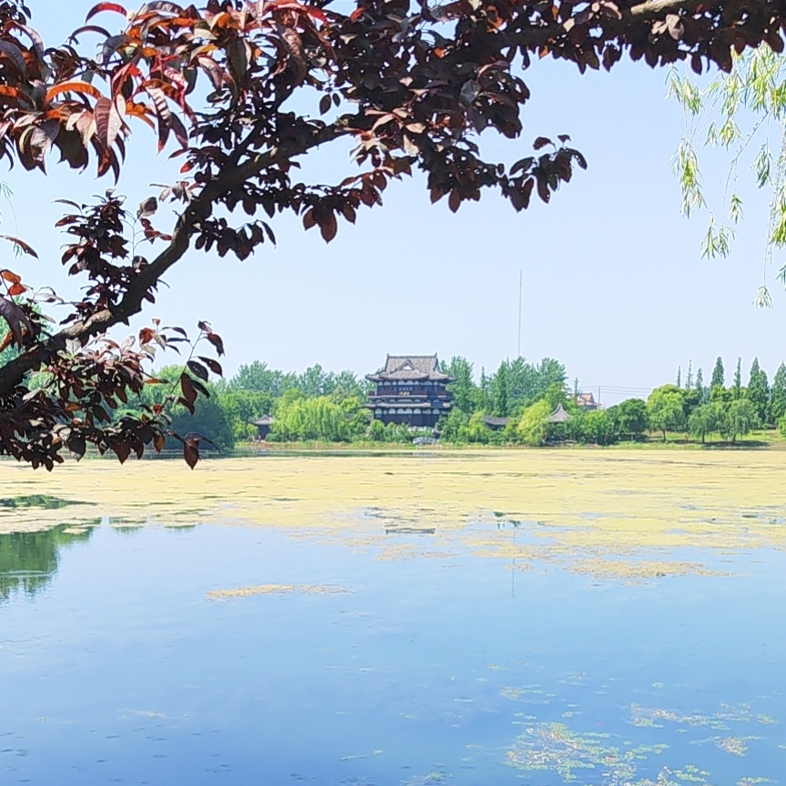 💗🐯燃情海报