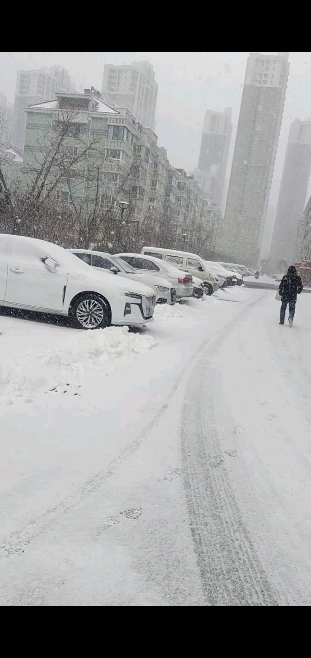 你那里下雪了吗