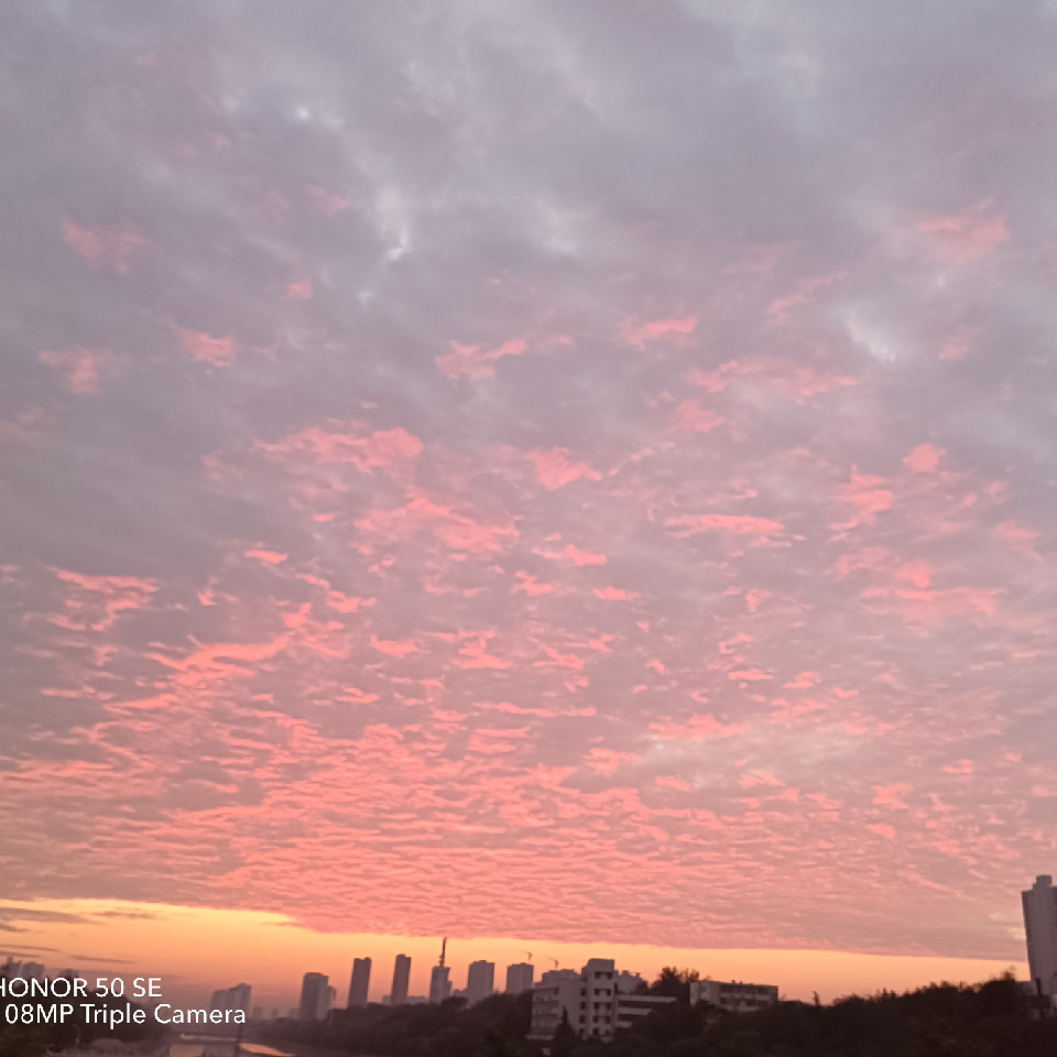 单雨云ko*海报