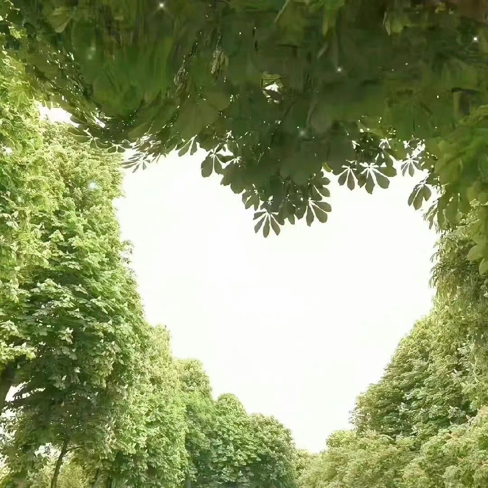 诚实可靠小郎君QQ海报