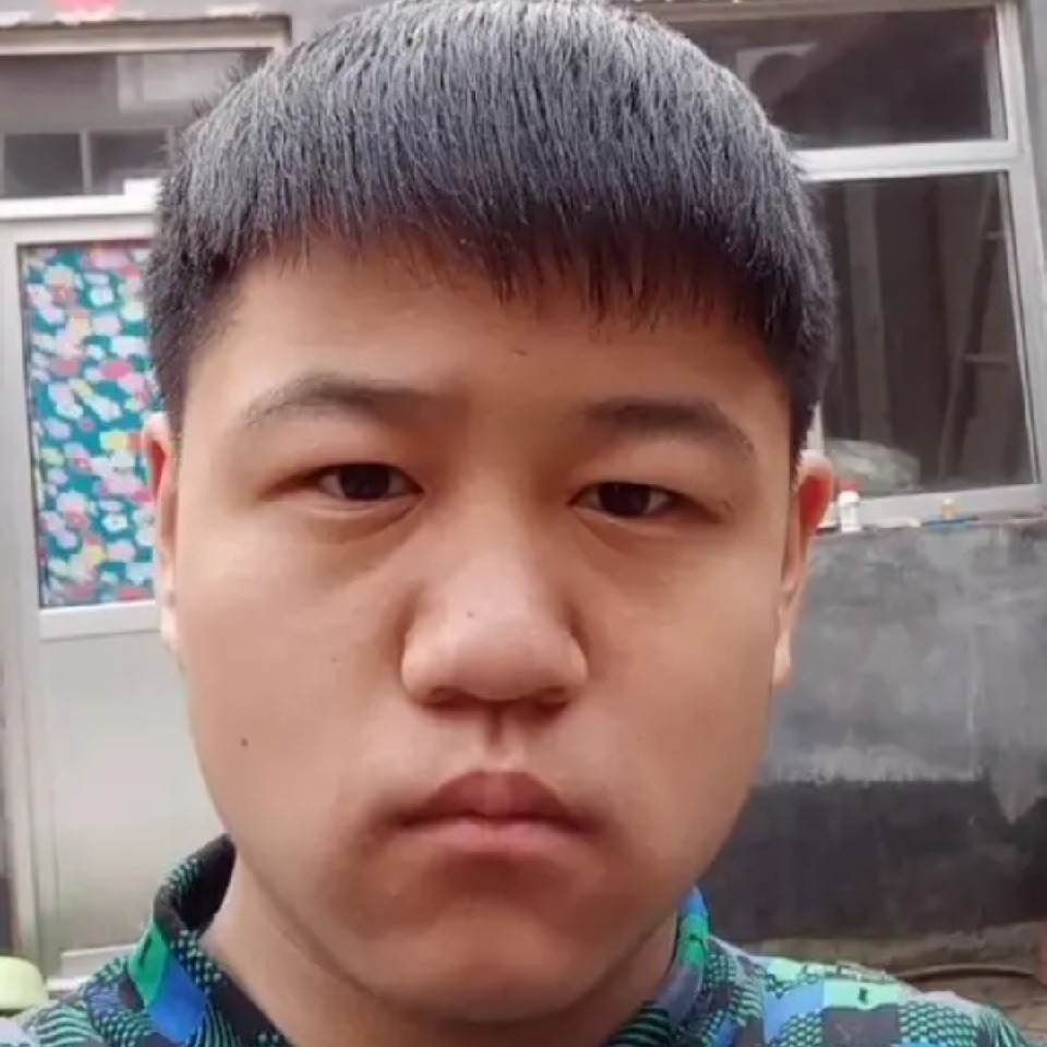 来自努克的海豚海报