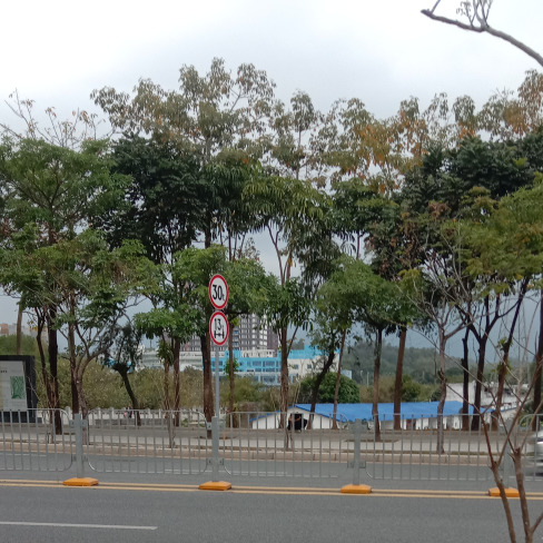 袁宝祥海报