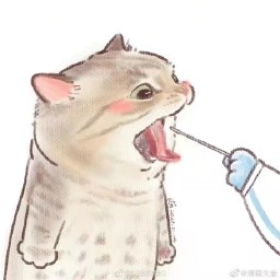 熙晓枫海报