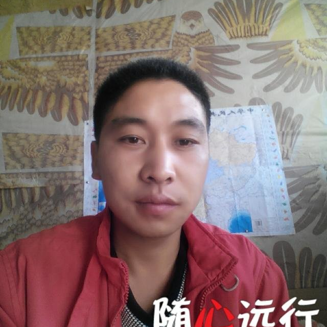 文静虹鳟鱼海报