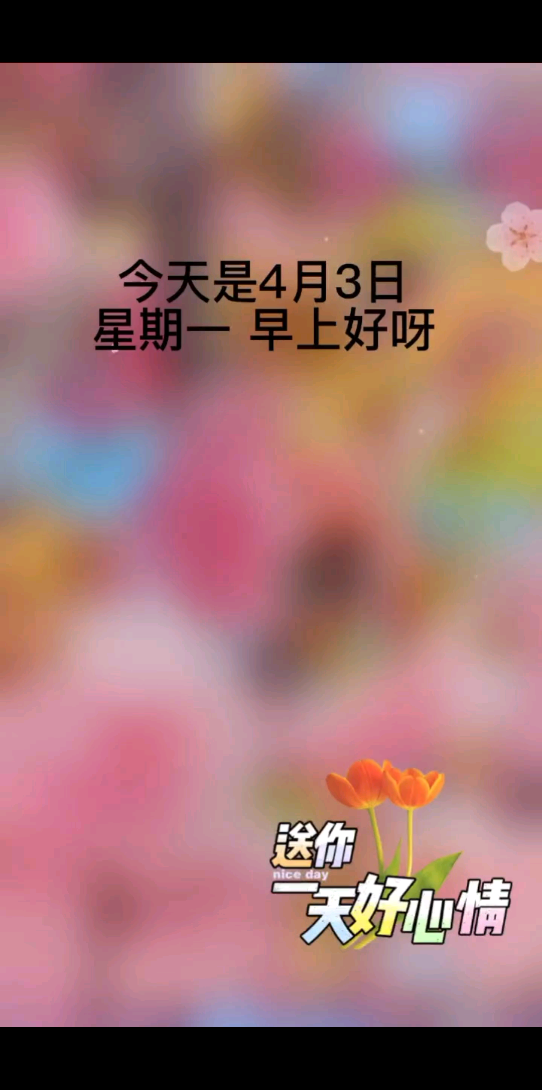 家人们/美女/靓仔周