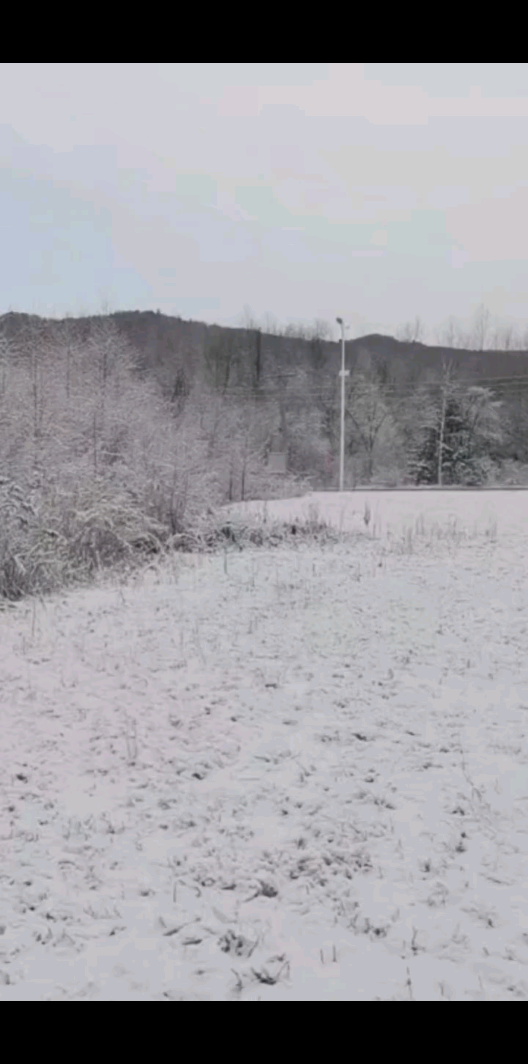 日月飞雪