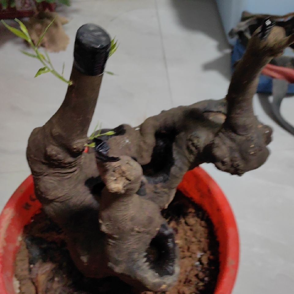 l笑看风云海报