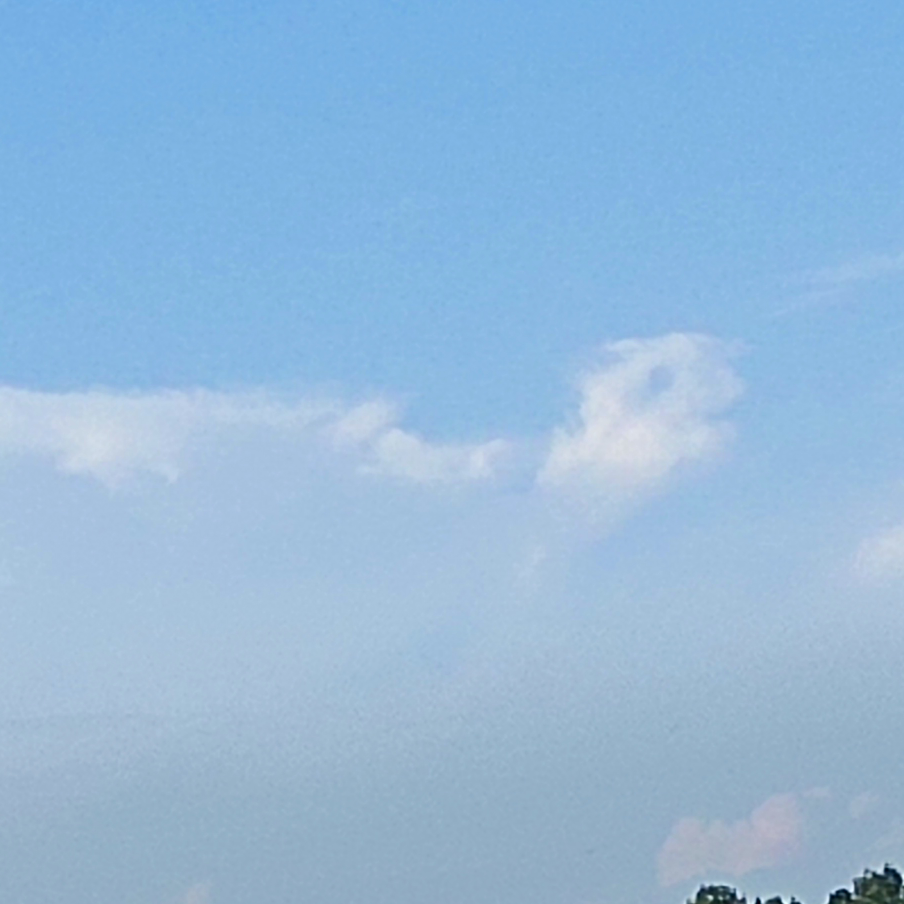 王相明海报