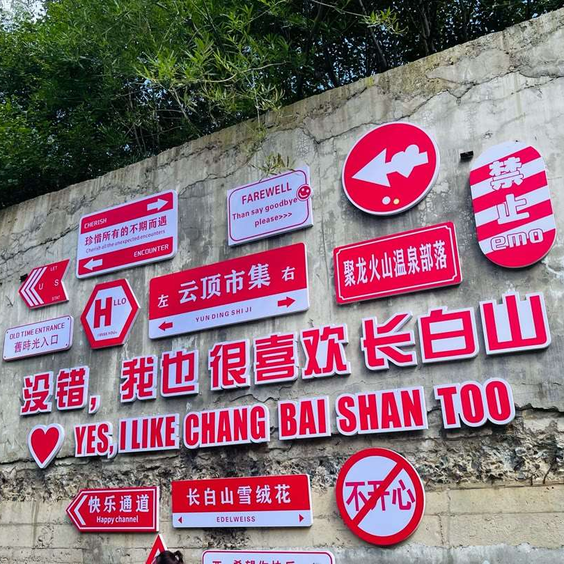 茶茶的老公海报