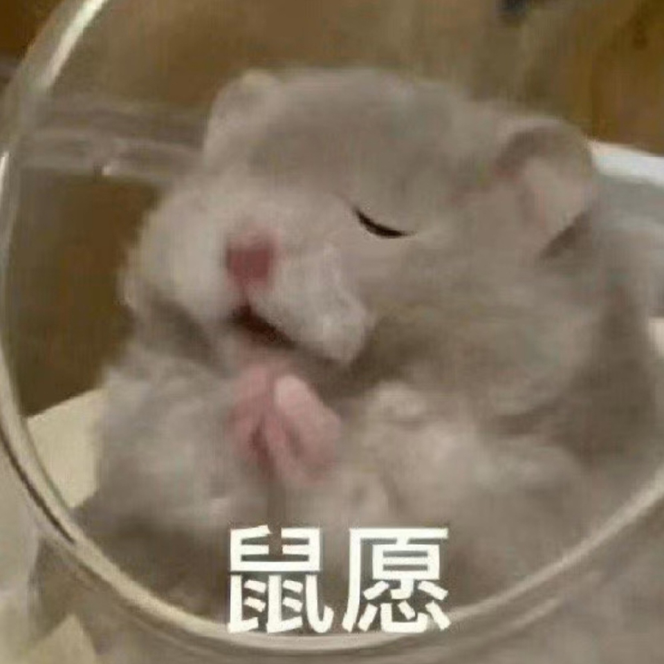 癞疙宝🥂牛蛙海报