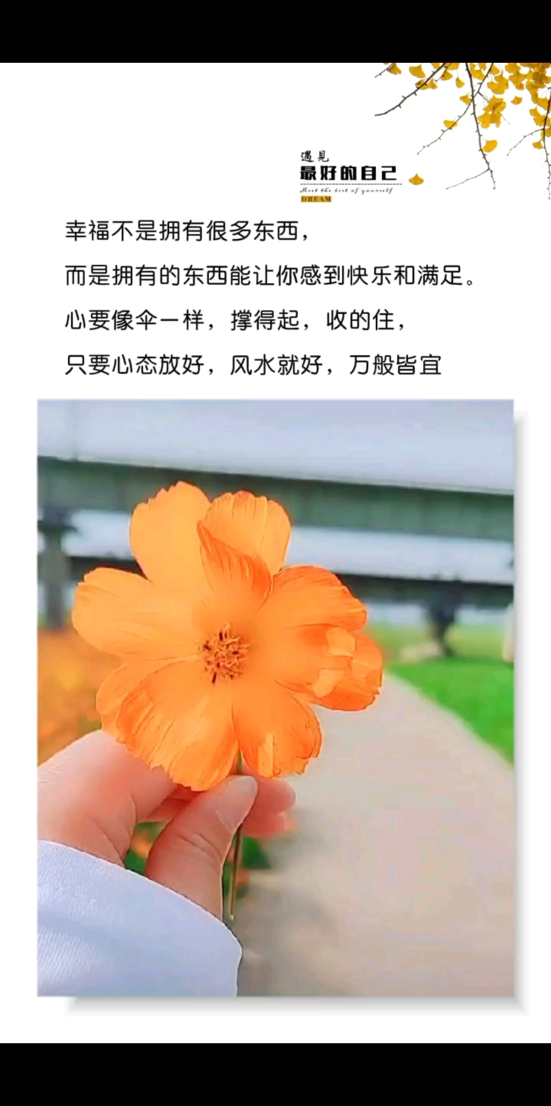 幸福不是拥有很多东西
