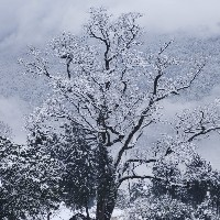 快到碗里来ひ海报