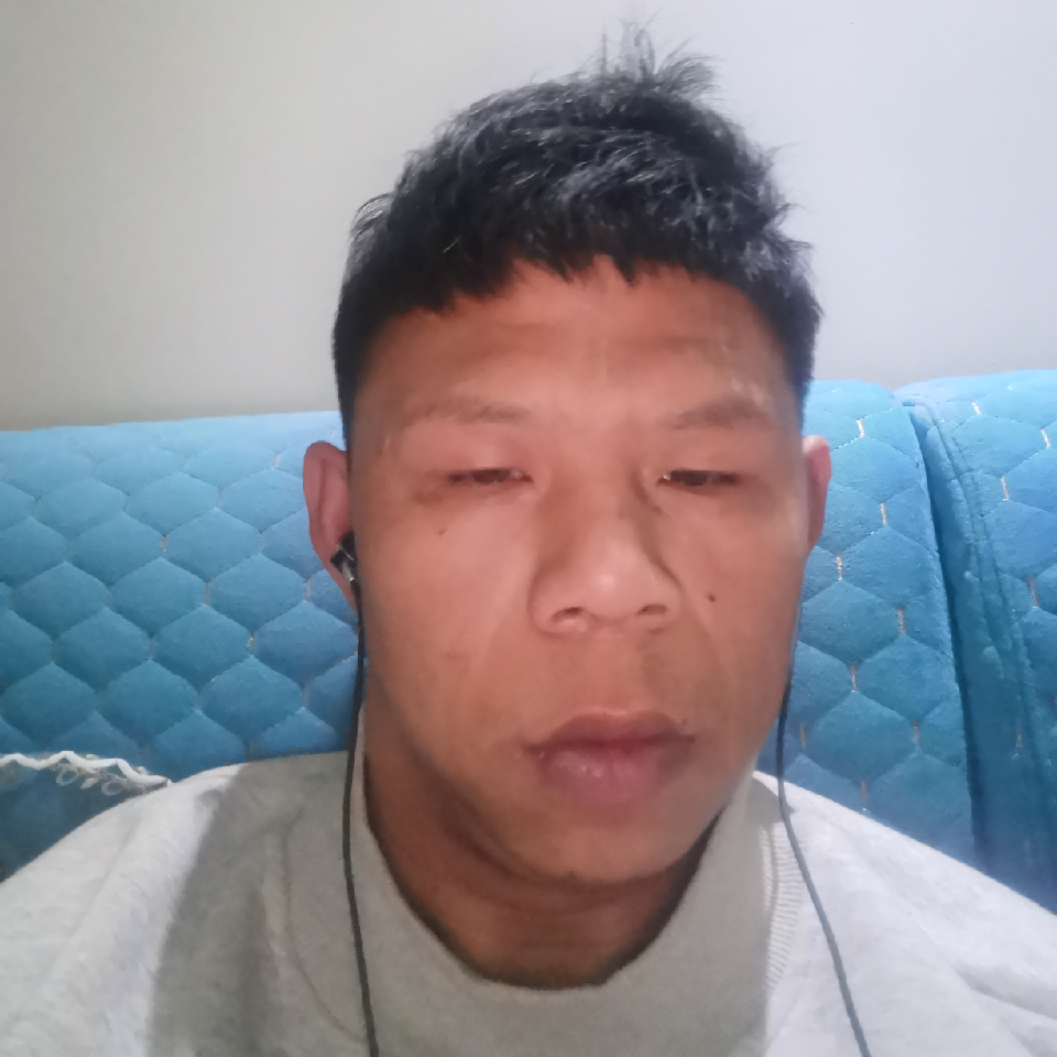练瑜伽的卷尾猴海报