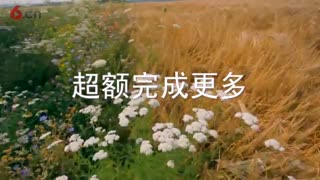 先正达以行动助力可持续农业 “绿色增长计划”第一阶段成果显著