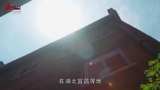 抗战云课堂第十二期“赤胆巾帼女英雄”（赵一曼）