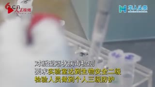 带你揭秘新型冠状病毒检测流程