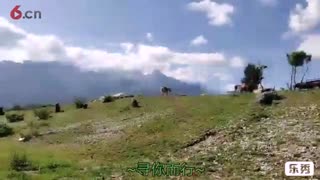 小江玉龙雪山行...