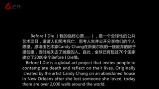 福寿园举办Before I die walls公共艺术项目