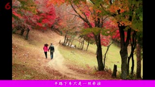 杜牧《山行》诗“白云深处”今何在？