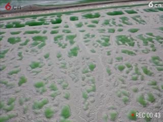 18青海茫崖市翡翠湖
