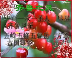张合楹联集