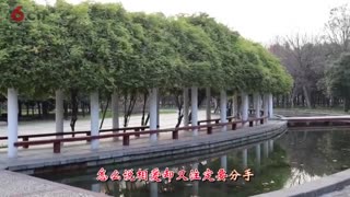 一首经典老歌《晚秋》，如此深情缠绵，一开嗓就听醉了-高清480P